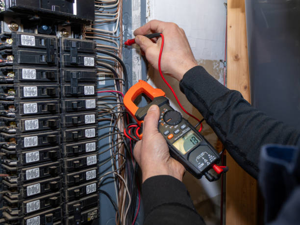 Best Ceiling Fan Installation Electrician  in Dodge Center, MN